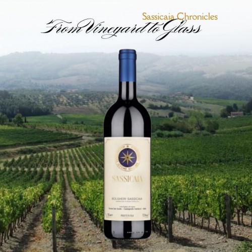 Sassicaia Chronicles: From Vineyard to Glass