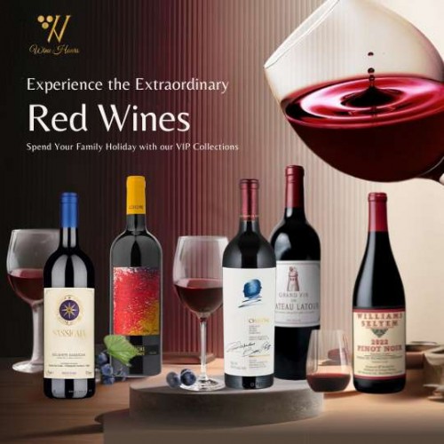 Experience the Ordinary VIP Red Wine